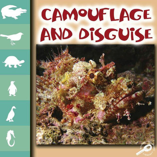 Camouflage and Disguise