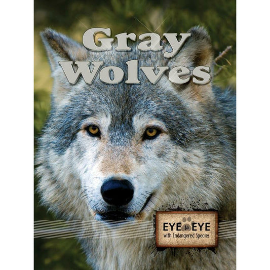 Gray Wolves