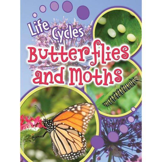 Butterflies and Moths