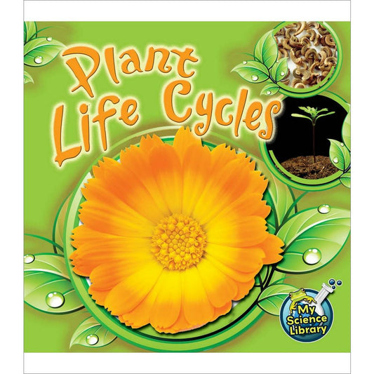 Plant Life Cycles