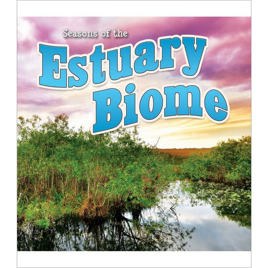 Seasons Of The Estuary Biome