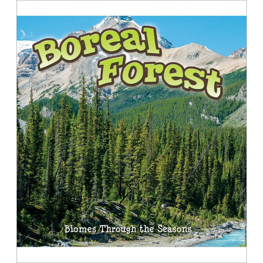 Seasons Of The Boreal Forest Biome