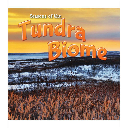 Seasons Of The Tundra Biome