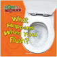 What Happens When You Flush?