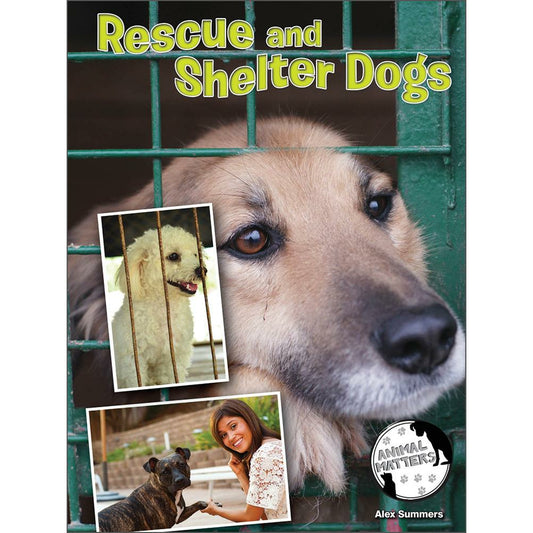 Rescue and Shelter Dogs