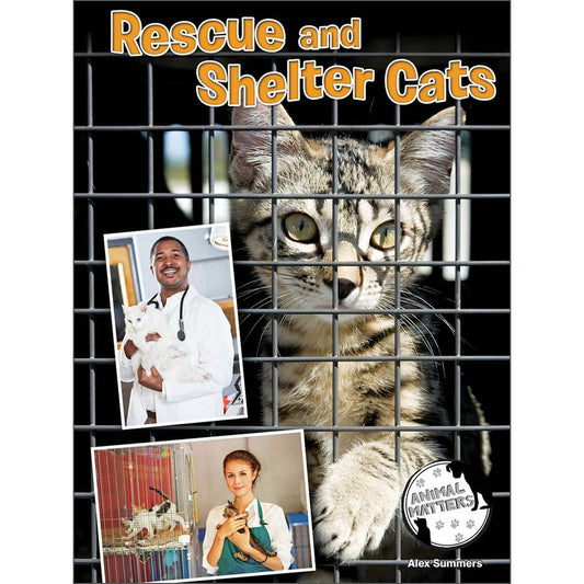 Rescue and Shelter Cats