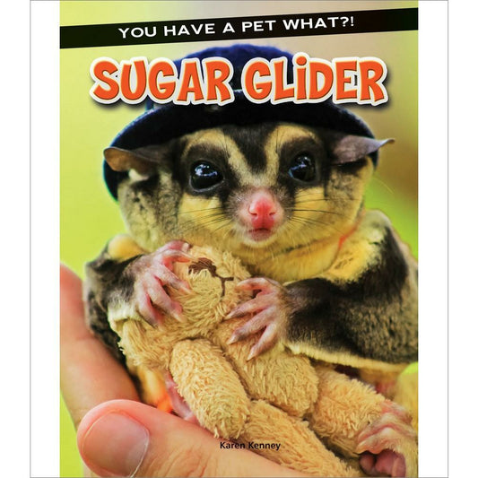 Sugar Glider