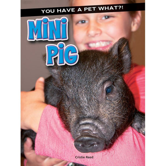 Mini Pig