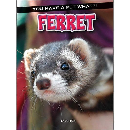 Ferret