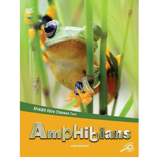 Amphibians