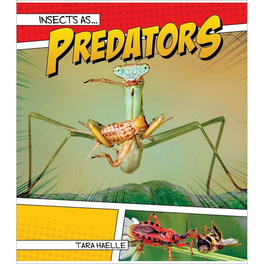 Insects as Predators