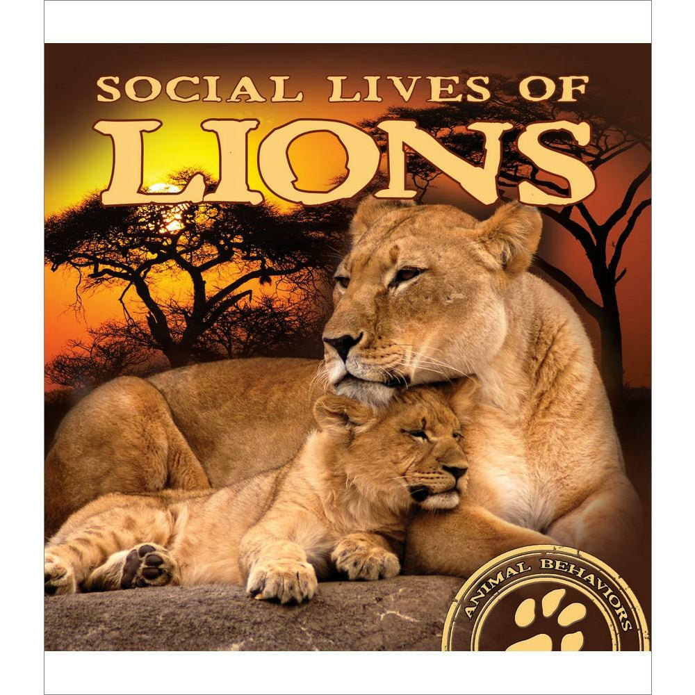 Social Lives of Lions