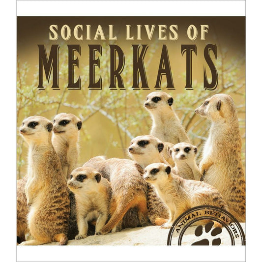 Social Lives of Meerkats