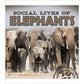 Social Lives of Elephants-Paperback