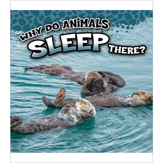 Why Do Animals Sleep There?