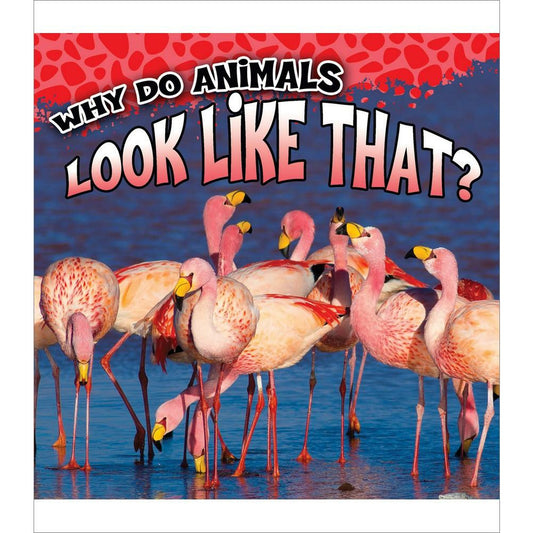 Why Do Animals Look Like That?