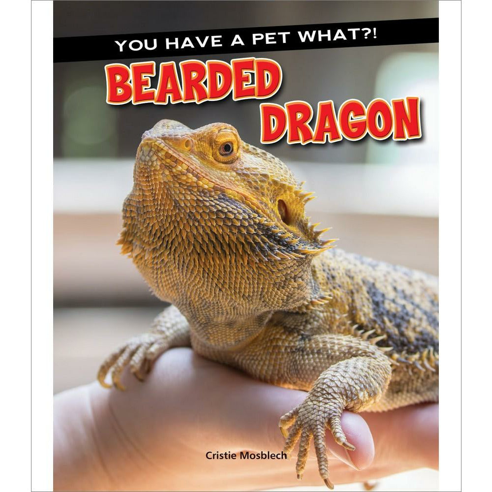 Bearded Dragon