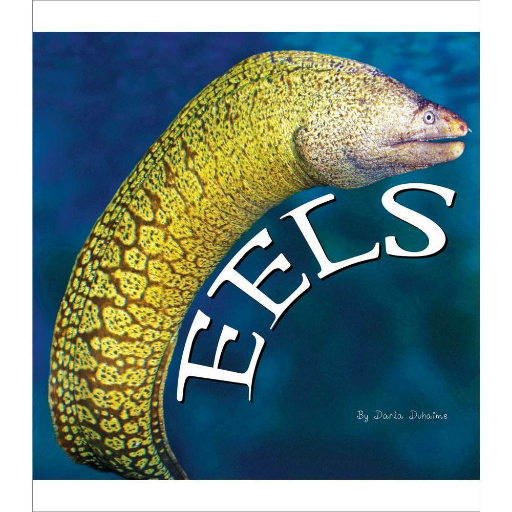 Eels