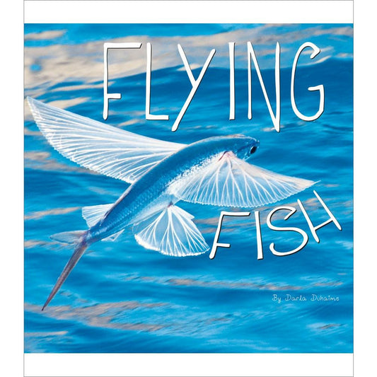 Flying Fish