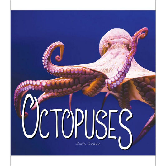 Octopuses