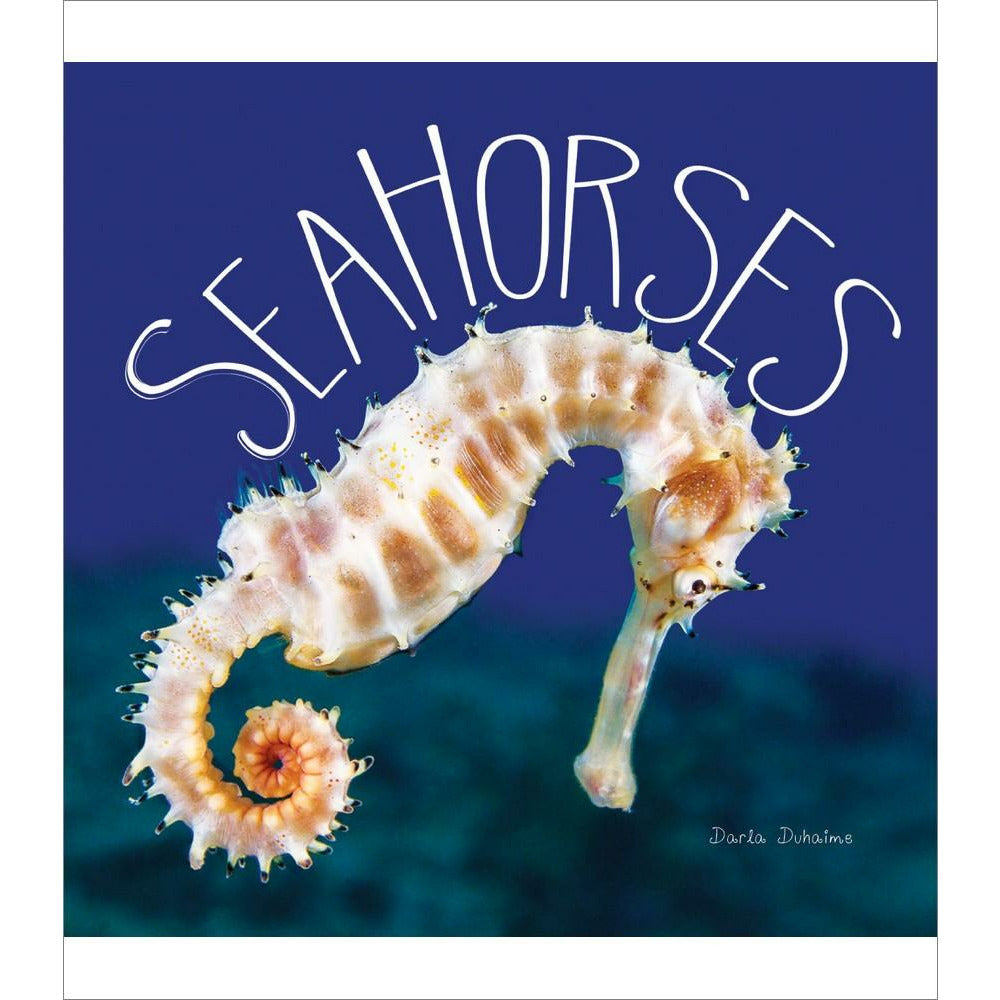 Sea Horses