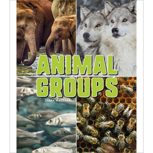 Animal Groups