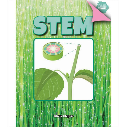 Stem