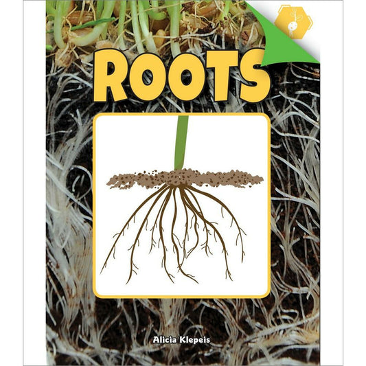 Roots