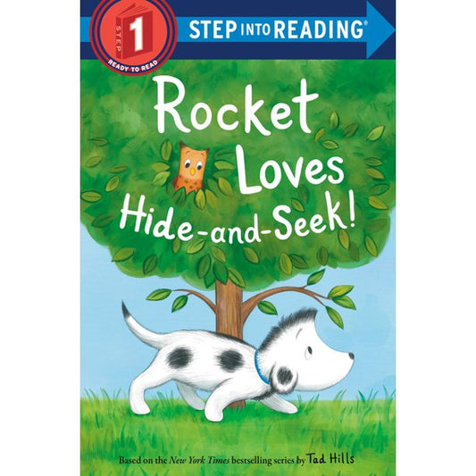 Rocket Loves Hide-and-Seek!