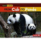 From Cub To Panda