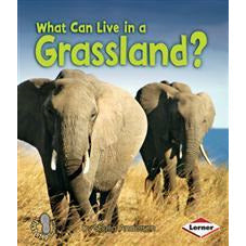 What Can Live In A Grassland?