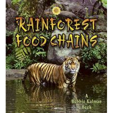 Rainforest Food Chains