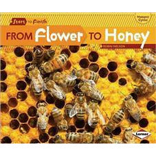 From Flower To Honey