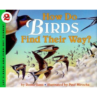 How Do Birds Find Their Way