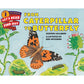 From Caterpillar to Butterfly - Hardcover