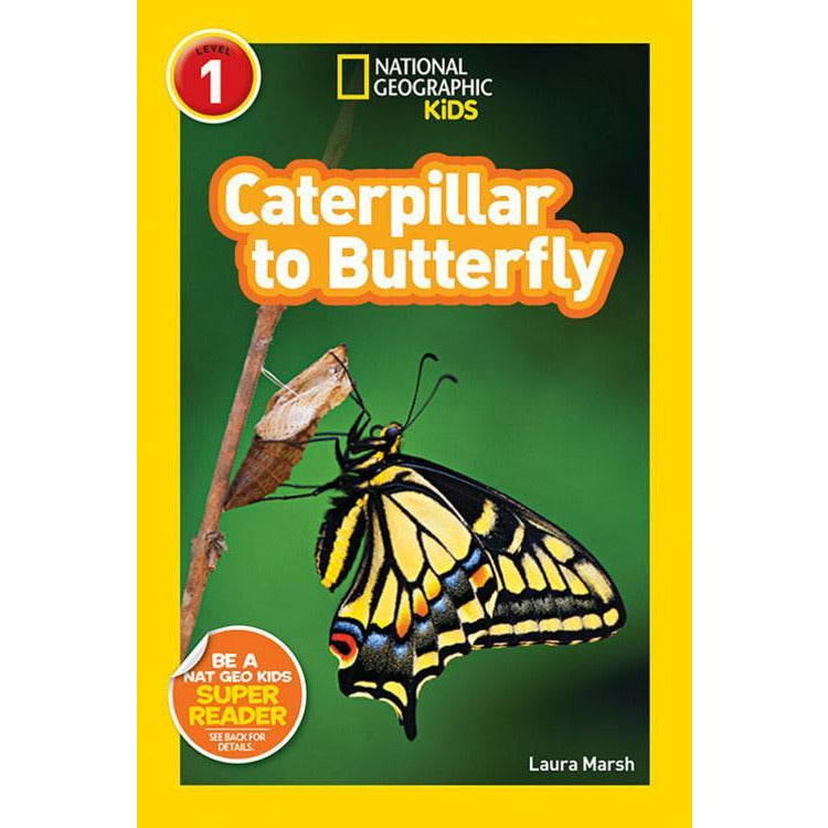 Nat Geo: Caterpillar to Butterfly