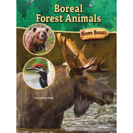 Boreal Forest Animals