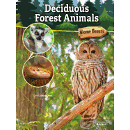 Deciduous Forest Animals