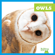 Raptor World: Owls