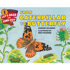 From Caterpillar to Butterfly ( Let's-Read-And-Find-Out Science 1 )