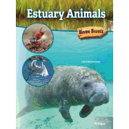 Estuary Animals