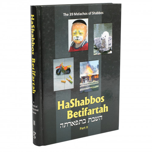 HaShabbos Betifartah #2