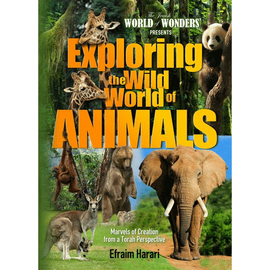 Exploring the Wild World of Animals