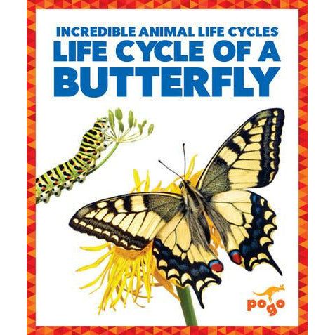 Life Cycle of a Butterfly