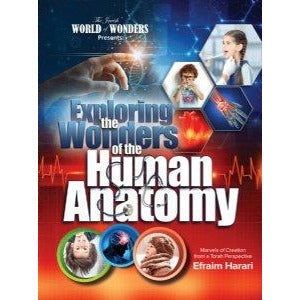 Exploring the Wonders of the Human Anatomy