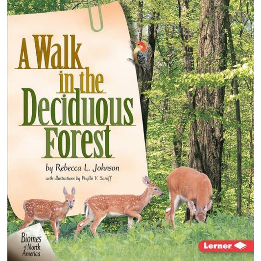 A Walk in the Deciduous Forest