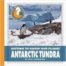 Antartic Tundra