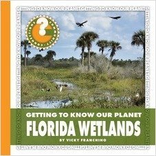Florida Wetlands