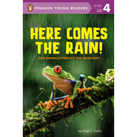 Here Comes the Rain! - Hardcover
