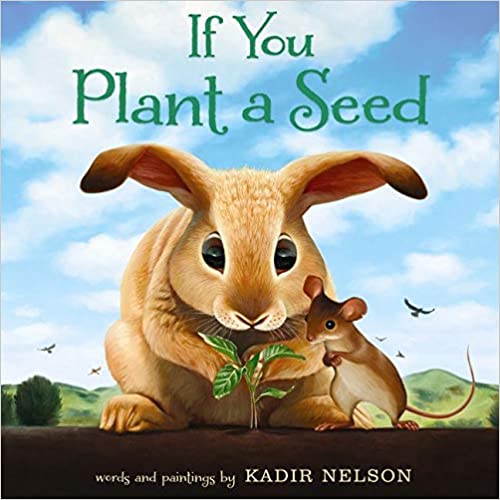 If You Plant a Seed - Hardcover